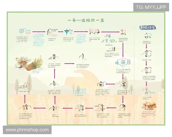 雷泽体育会员登录流程中的常见错误及避免方法总结